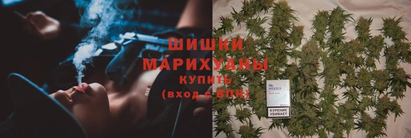 прущие грибы Верхний Тагил