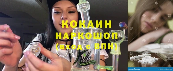 амф Верея