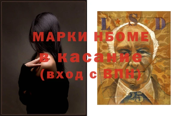 прущие грибы Верхний Тагил
