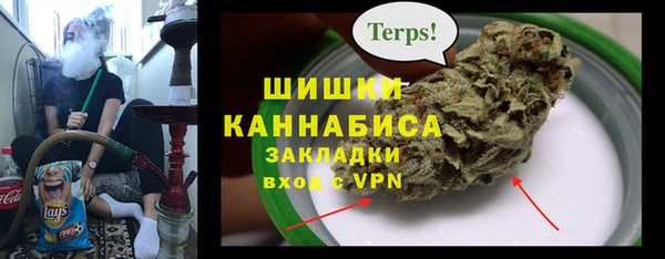 амф Верея