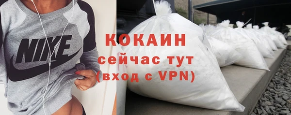 прущие грибы Верхний Тагил