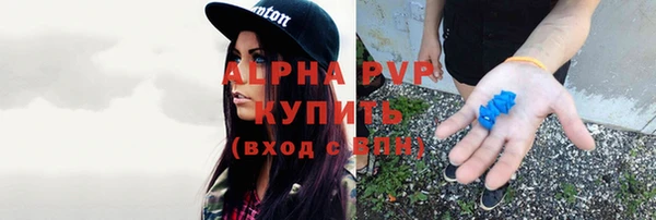 амф Верея