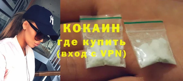 прущие грибы Верхний Тагил