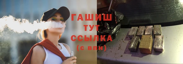 прущие грибы Верхний Тагил