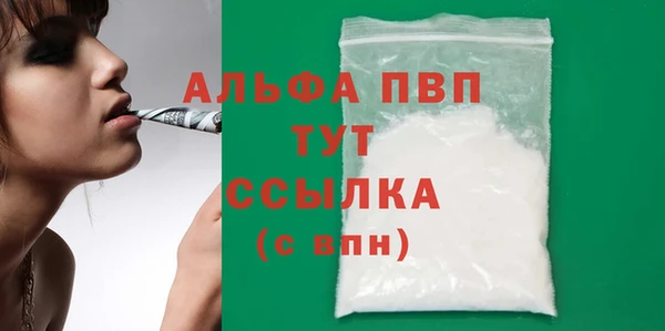 прущие грибы Верхний Тагил