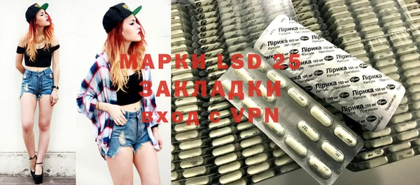 прущие грибы Верхний Тагил