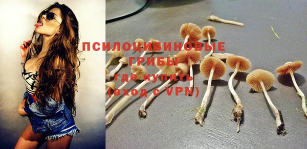Альфа ПВП Бородино