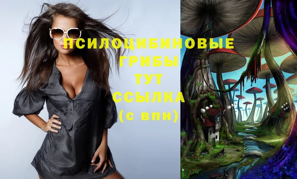 прущие грибы Верхний Тагил