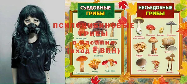 амф Верея