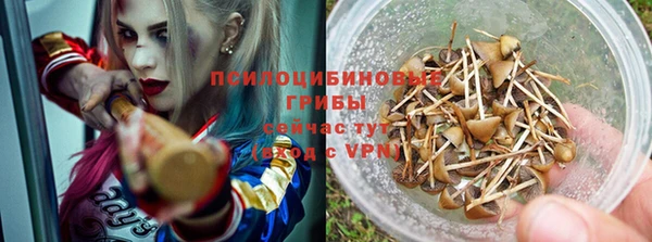 амф Верея