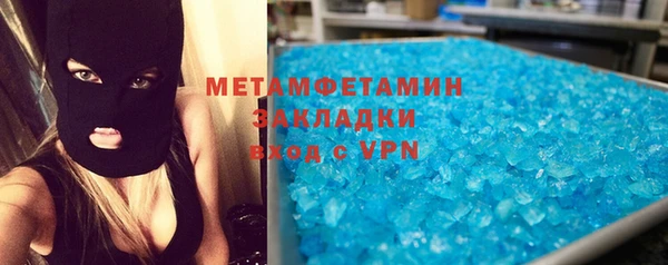 прущие грибы Верхний Тагил