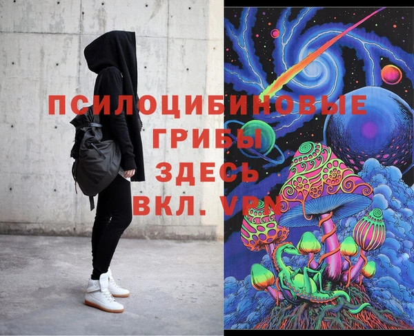 амф Верея