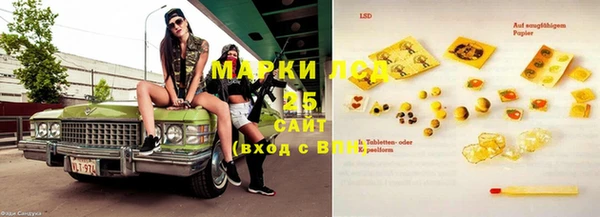 амф Верея