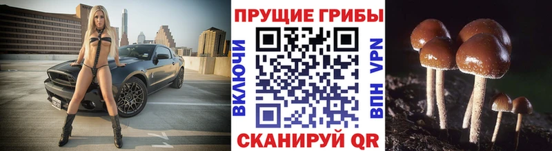 Галлюциногенные грибы прущие грибы  Ипатово 